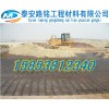 geogrid (الصلب) التعاون بشأن هذا المشروع.ومن مصادر أخرى، فإن شركة البيع المباشر، نرحب المكالمات