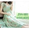 2014 spot new skirt lace flower slim slim skirt Floral Chiffon Dress in Bohemia