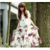 (Photos) 2015 summer new Chiffon Dress false two Bohemia dress and floral skirt