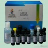 ELISA kit for Ractopamine