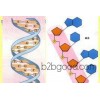 Goat anti rabbit IgG (H+L), horseradish peroxidase