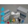 Human anti peroxidase antibody (TPOAb) Elisa Kit