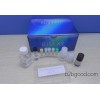 Myeloperoxidase antibody (AntiMPO) ELISA kit.