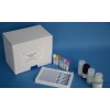 Eosinophilic peroxidase (EPX) ELISA Kit