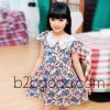 Kids Girls Summer 2015 new children dress girl princess skirt dress blouse