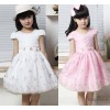 The new girl short sleeved princess dress children Princess Dress Embroidery Dress children's clothi