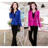 2014 autumn ladies slim Korean fashion one button suit pants OL occupation suit 02