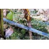 Agricultural tools Xingtai cotton field drip irrigation drip fertigation | |