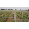 [Anhui] agricultural tool manufacturers professional custom greenhouse drip irrigation pipe price be