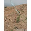 Small tube out flow of agricultural tool, Hunan fruit tree drip irrigation guide installation