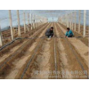 Henan high quality agricultural tools and greenhouse drip irrigation special irrigation pipe | assur