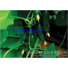 [Anhui] the agricultural tools, fine plastic shed drip tube