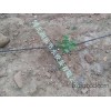 Hunan fruit tree drip irrigation equipment, agricultural tools, fine tube out flow