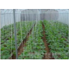 [Henan agricultural tools integrated fertilizer | drip irrigation pipe | wholesale sales]