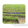 Farm tools Henan field drip drip irrigation belt