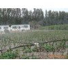 Hebei Cangzhou agricultural tools orchard micro irrigation equipment manufacturers | | micro sprinkl