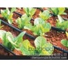 Agricultural tools Qionghai Hainan quality plastic greenhouse flowers drip drip irrigation tube spot