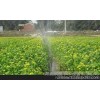 Hebei Shijiazhuang agricultural tools of greenhouse vegetable micro irrigation equipment | micro spr