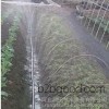 Hunan agricultural tools field crop irrigation with micro spray atomization | house preferred