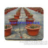 Ningyang Shandong agricultural tool for the professional production of potted drip drip arrow manufa