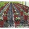 Agricultural tools of quality plastic greenhouse drip irrigation pipe in Shanxi