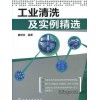 Examples of industrial cleaning and application of inorganic acid cleaning agent (Second Edition)