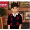 2014 autumn new fashion boy pony pattern knit sweaters for children