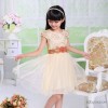 Vera in Korean dress skirts, Princess Dress QZ062