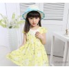 The child of 2015 children. The new summer dress Princess Girls skirts a special in Suihua