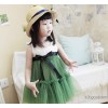 Princess child dress wholesale princess dress in the summer princess skirt foreign princess skirt