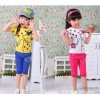 The primary sources of special summer hot explosion of Korean printing of cotton lycra elastic suit