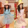 Spring 2014 Suihua falbala girls dress wholesale children's clothing factory direct batch e children