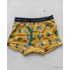 One day the boy boy boxer underwear, cotton panties, baby pants