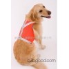 Manufacturers selling pet vest vest reflective products trade