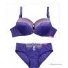 Italy foreign trade underwear silk embroidery ladies underwear wholesale