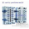 Dry power of various types of PET wide mouth bottle preform mold, multi cavity