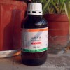 Chemical reagent two 2-propamine analysis of pure AR 500ml/ bottle wholesale and retail supply