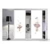 Art glass wardrobe glass partition glass wall glass door glass door glass