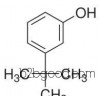 间叔丁基苯酚 3叔丁基苯酚 农药化工中间体 CAS：585