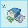 人脂肪型脂肪酸结合蛋白（FABP4）Elisa kit