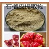 石榴皮提取物 天然植物石榴皮提取物降压镇静原料 植物提取物