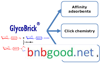 GlycoBricks? Applications