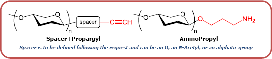 Spacer is to be defined following the request and can be an O, an N-Acetyl, or an aliphatic group