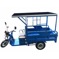 solar panel: electric three-wheeled car