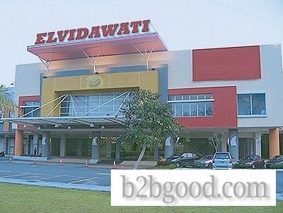 ELVIDAWATI-01