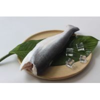 Frozen Pangasius Fish / Basa fish / Swai fish