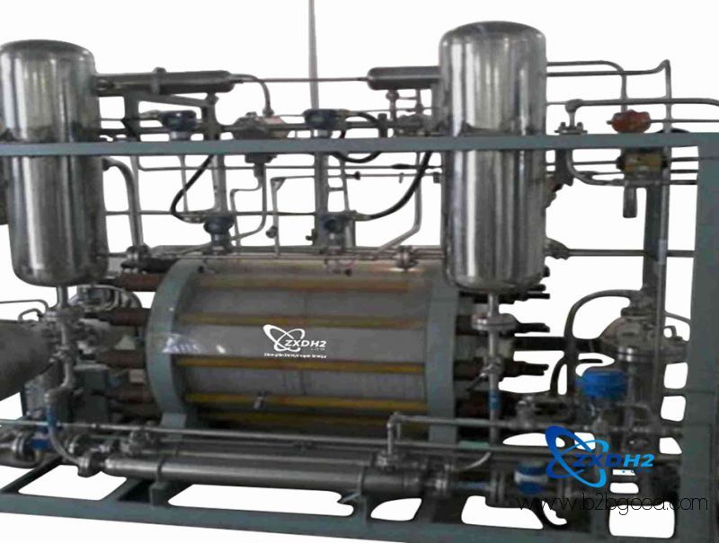Water electrolysis hydrogen plant