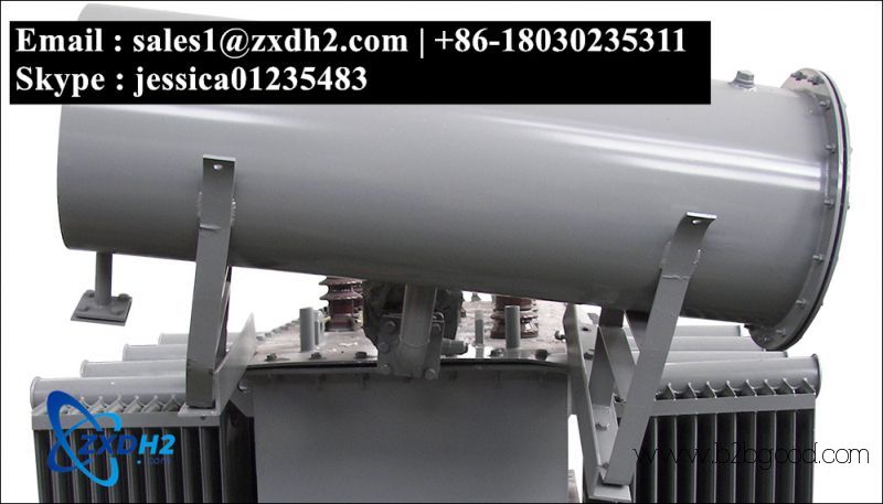 hydrogen electrolyser manufacturers / Mature Technology