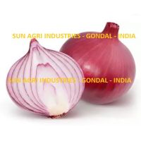 Onion