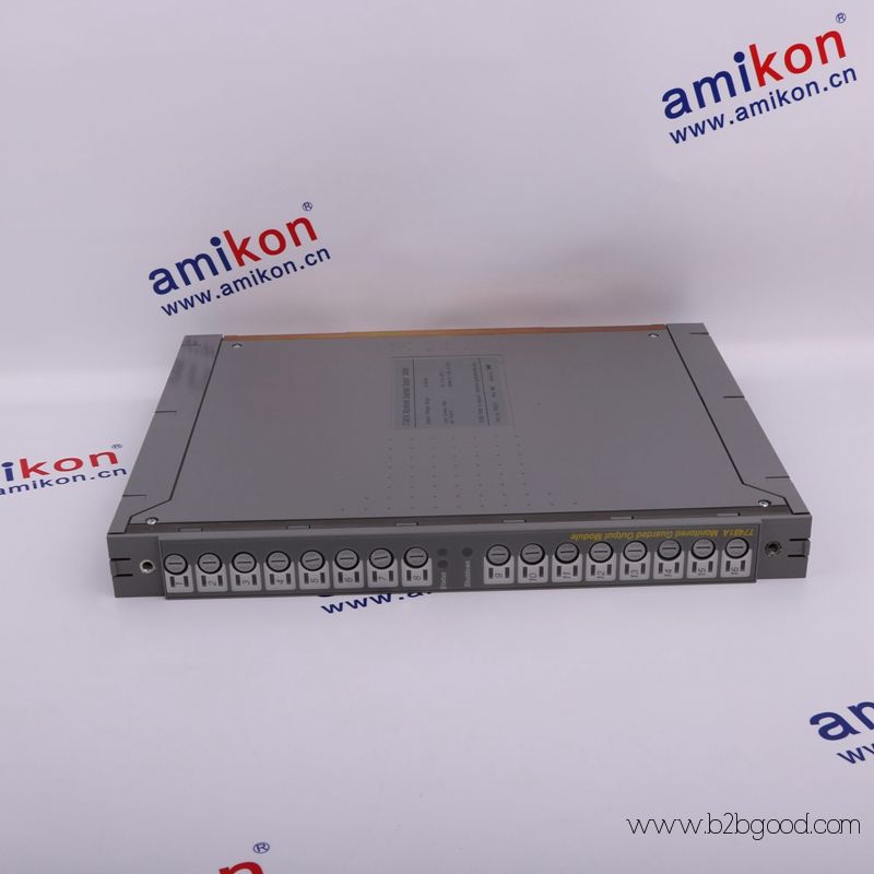 ICS TRIPLEX T3481